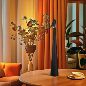Gaofu Shuai Desk Lamp